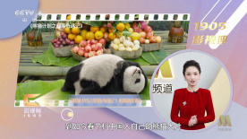 午夜毛片视频高清不卡免费